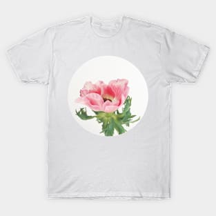 Pink Anemone T-Shirt